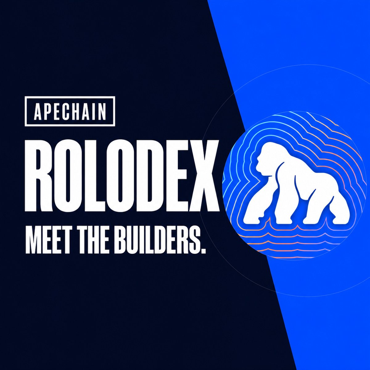 apecoin's tweet photo. Meet the builders ON APECHAIN

The ApeChain Rolodex is live with dozens of community profiles ready to explore.

Create your profile, get discovered by the community, and connect directly with builders, creators, and collaborators from the Ape ecosystem.

https://t.co/Cm5VyrfXRL https://t.co/kvFGZPMnS1