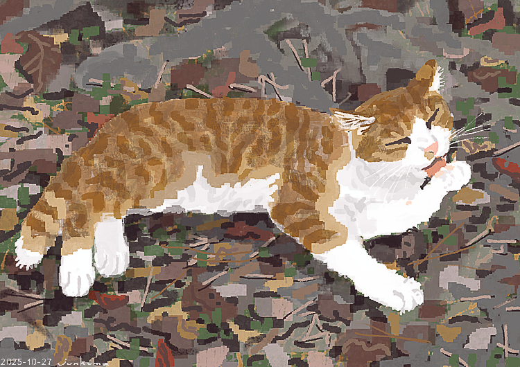 J_KMOR's tweet photo. 🍂🐈🍁 https://t.co/UL5BeTJY67