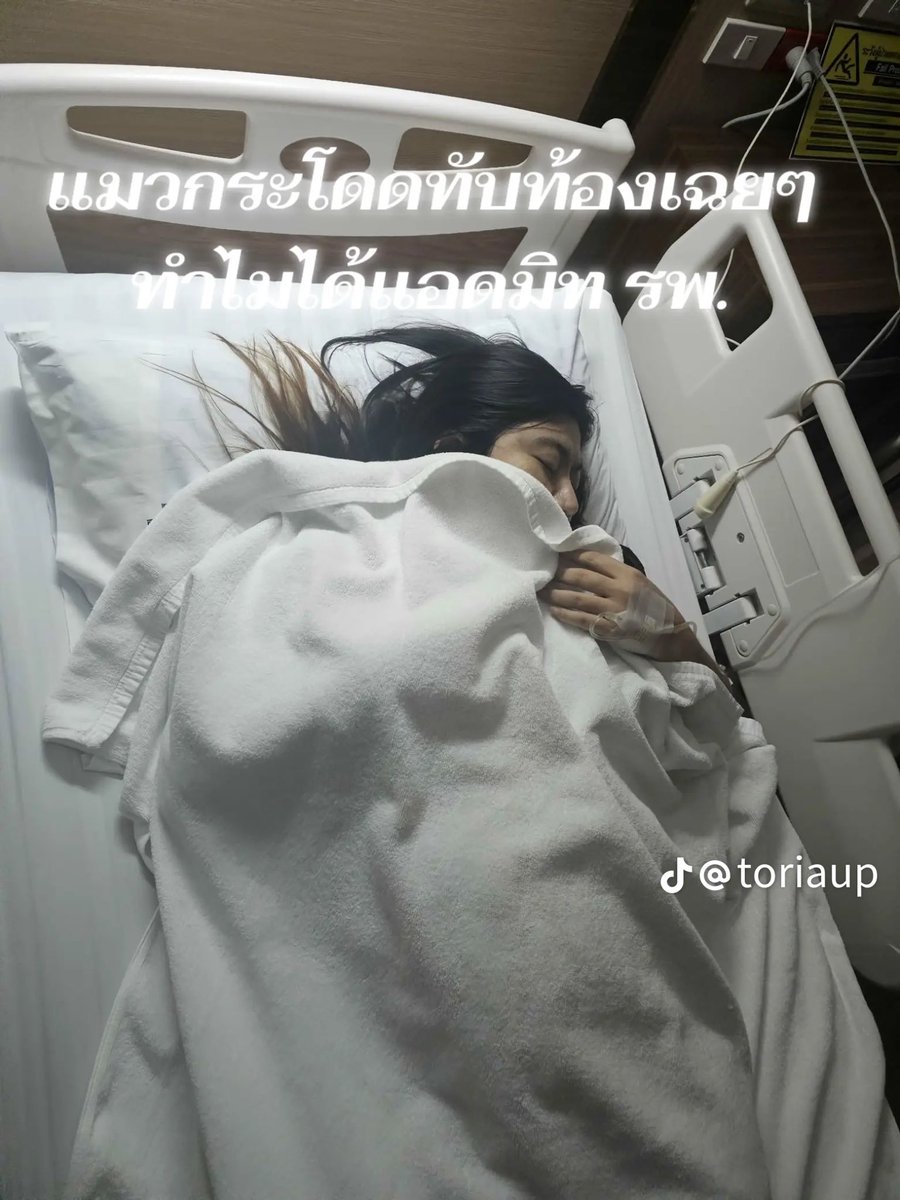 kittylucabludaa's tweet photo. แมวกระโดดทับท้อง อันตรายมาก ยิ่งถ้าเลี้ยงแมวตัวอ้วนๆ ระวังด้วยนะทาส https://t.co/0HGjt6kFJu