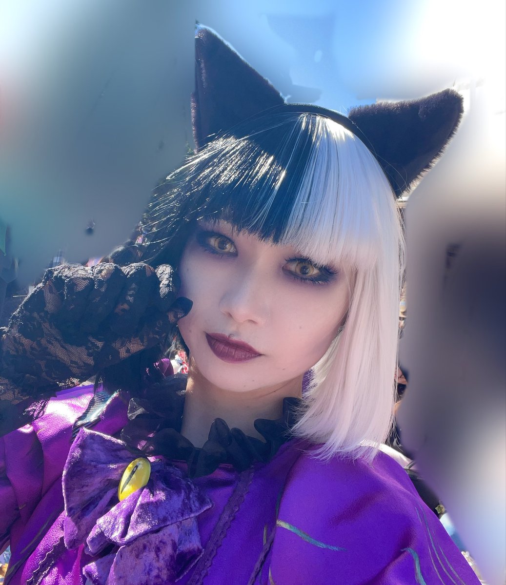 kathyb19161135's tweet photo. スプブ猫ちゃんでいます🐈‍⬛✨
風で全てが飛んでいくけど、FFさんに会いたいのでいるよー！アピしときます😘風止んでーーーーー！！！！！(三度目の正直、きゃさりん魂の叫び) https://t.co/nvJteSNsyl