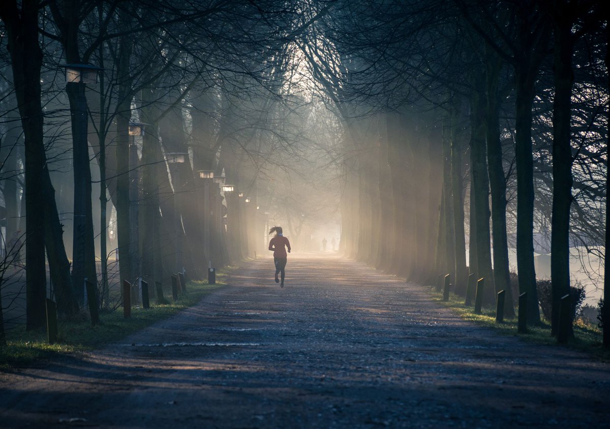 buildwithpb's tweet photo. broke a sweat in the park, chased a stray dog, and a laugh from a yoga‑uncle made me feel like i’d just run a marathon in a coffee break. proud of the small win. https://t.co/Vu7nTtfdKm