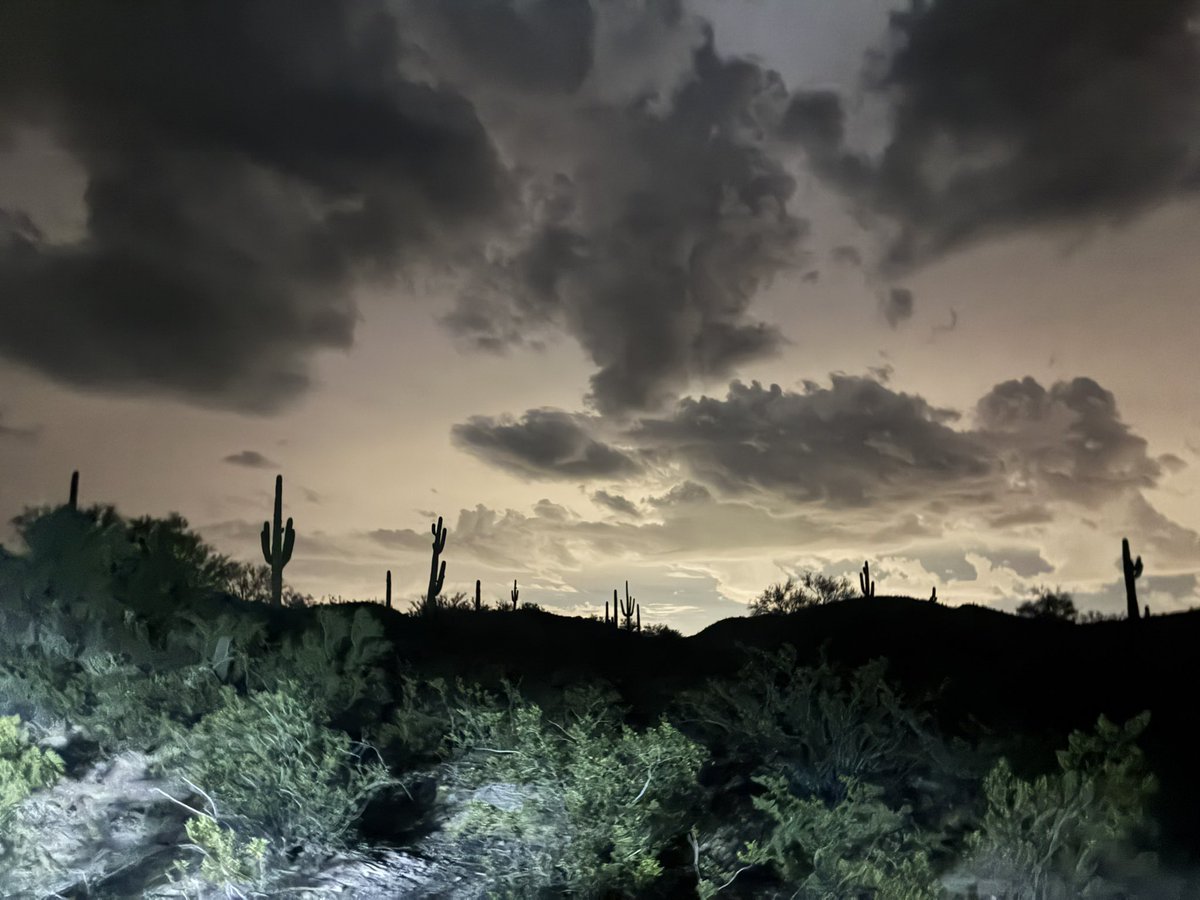 Autopsyr0tica's tweet photo. The deserts got my whole heart https://t.co/spZE4V0R27