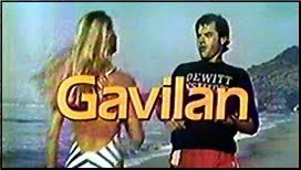 FrankMalfitano's tweet photo. FORGOTTEN TV SHOWS: GAVILAN, 1982-83 NBC #Gavilan #tvshow #oceanographer #ExCia #RobertUrich #adventure #KateReid #PatrickMacNee #1980s #NBC #forgottentvshows https://t.co/OYzaegbxFg