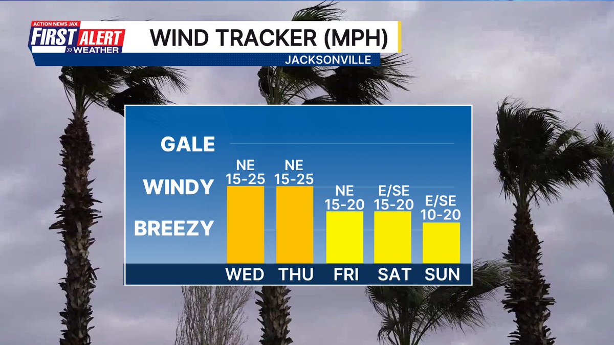 MikeFirstAlert's tweet photo. Gusty winds will continue through the upcoming weekend (Oct. 31-Nov. 1) though speeds will drop *some* - especially windy at the beaches/intracoastal/along St. Johns River @actionnewsjax @wokvnews #FirstAlertWx https://t.co/YwSzH5AlLs