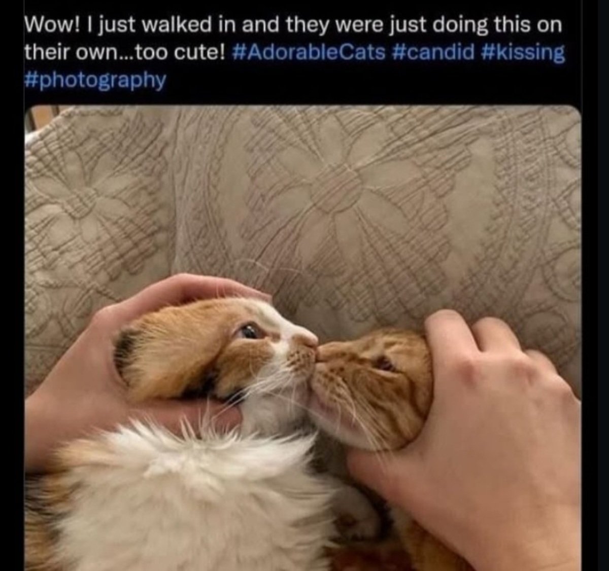 Charylynn1's tweet photo. How I feel shipping Morbell https://t.co/a7BMSNcth2
