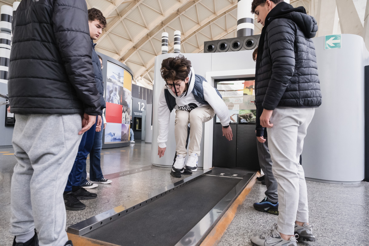 CACiencies's tweet photo. 🧬Amb més de 1⃣0⃣0⃣ mòduls interactius, el nostre #BoscdeCromosome et descobrix alguns dels secrets del cos humà

💧Sabràs quanta aigua hi ha en el nostre cos
🧠Posaràs a prova la teua força i el teu equilibri
🤾‍♀️Veuràs la distància que eres capaç de saltar

#MuseudelesCiències https://t.co/78pfKUz1ol