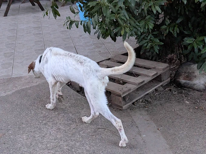 Image from BRINDILLE85 💙🤍💔 🧡 (@BRINDILLE851)