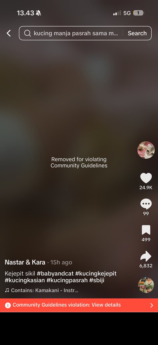 nastarcheesecat's tweet photo. Ngupload video sbiji dihimpit ade bayi di tiktok, trus kena community guidelines. Dikira animal ab*se apaya 😭😭😭 https://t.co/Scp0IMXZVH