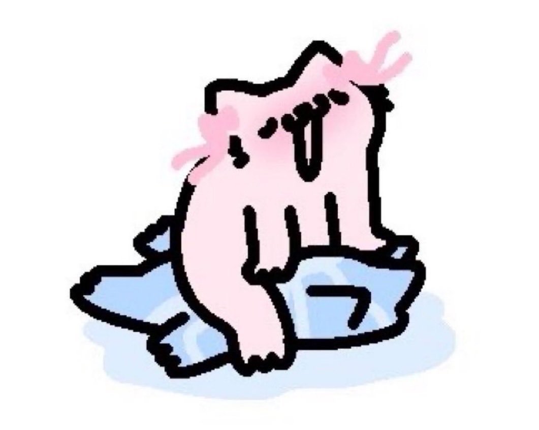 CatGirlEllaX's tweet photo. https://t.co/zBagUCffE0