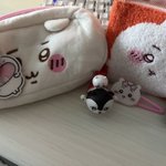 Photo by ˚₊‧꒰ა lesley da koel ໒꒱ ‧₊˚ (@lesweeee___)