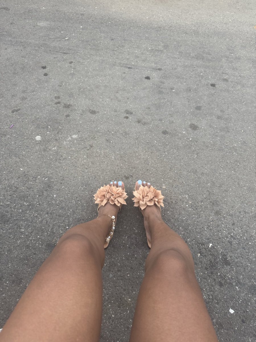 imdal8testcraze's tweet photo. @findom_ceo https://t.co/Uj9evTazbM