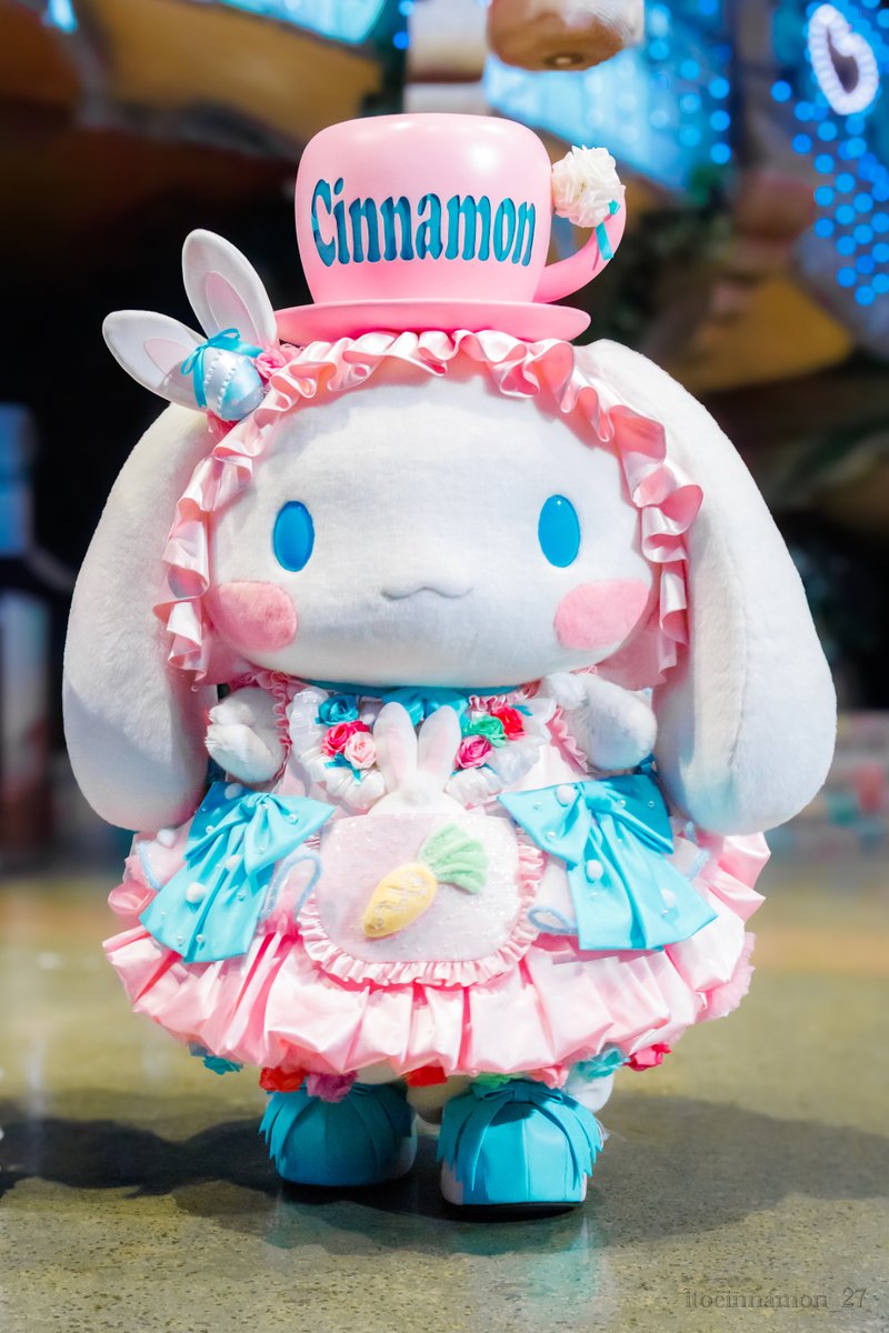 itocinnamon_27's tweet photo. 世界一可愛いシナモンくん！✨ https://t.co/0EB35fev3X