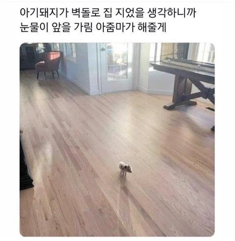 happypigfarmer1's tweet photo. https://t.co/wFTtFMy1C7