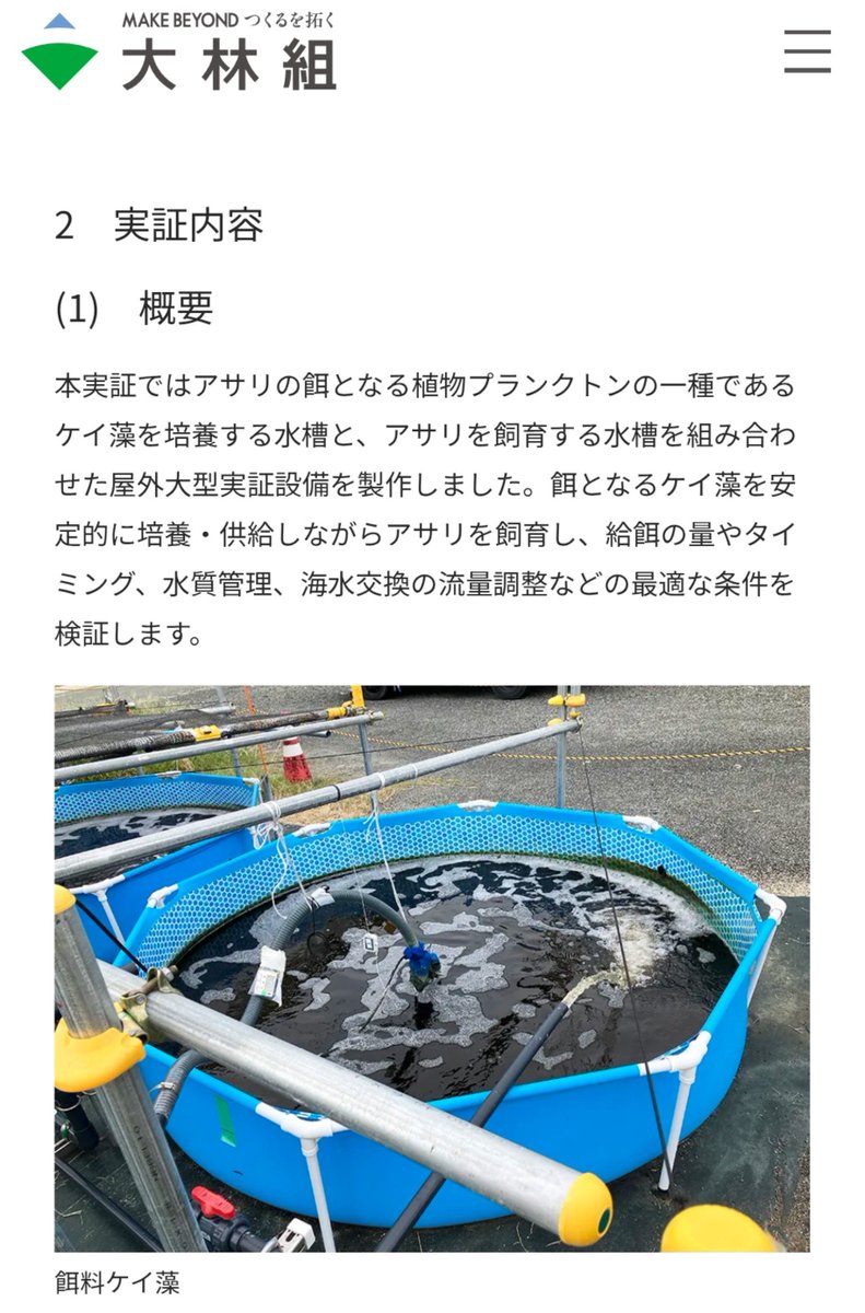 MoterSensha's tweet photo. 大林組が、アサリの陸上養殖実験。
味の素をこさえるときに出る、アミノ酸や窒素をふんだんに含んだ副生液を使って珪藻を養殖し、その珪藻を餌にアサリを育てるというもの。珪藻だけでなく、米ぬかなどの飼料を代用飼料として加えることでコストの大幅ダウンを狙うとのこと。
うまくいってほしいやつ。 https://t.co/f1ujEkyRnt