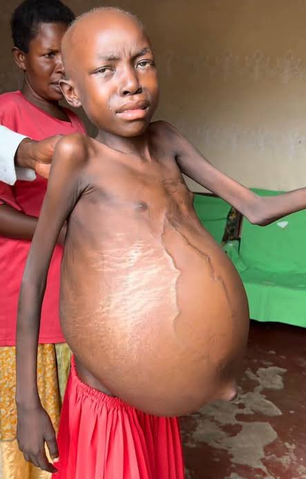 DiegoAA8778's tweet photo. @kirokara1547 @j3m___ Getting pregnant after blowing on cow ass ayooo 😂💀 https://t.co/nXR9XHzRE8