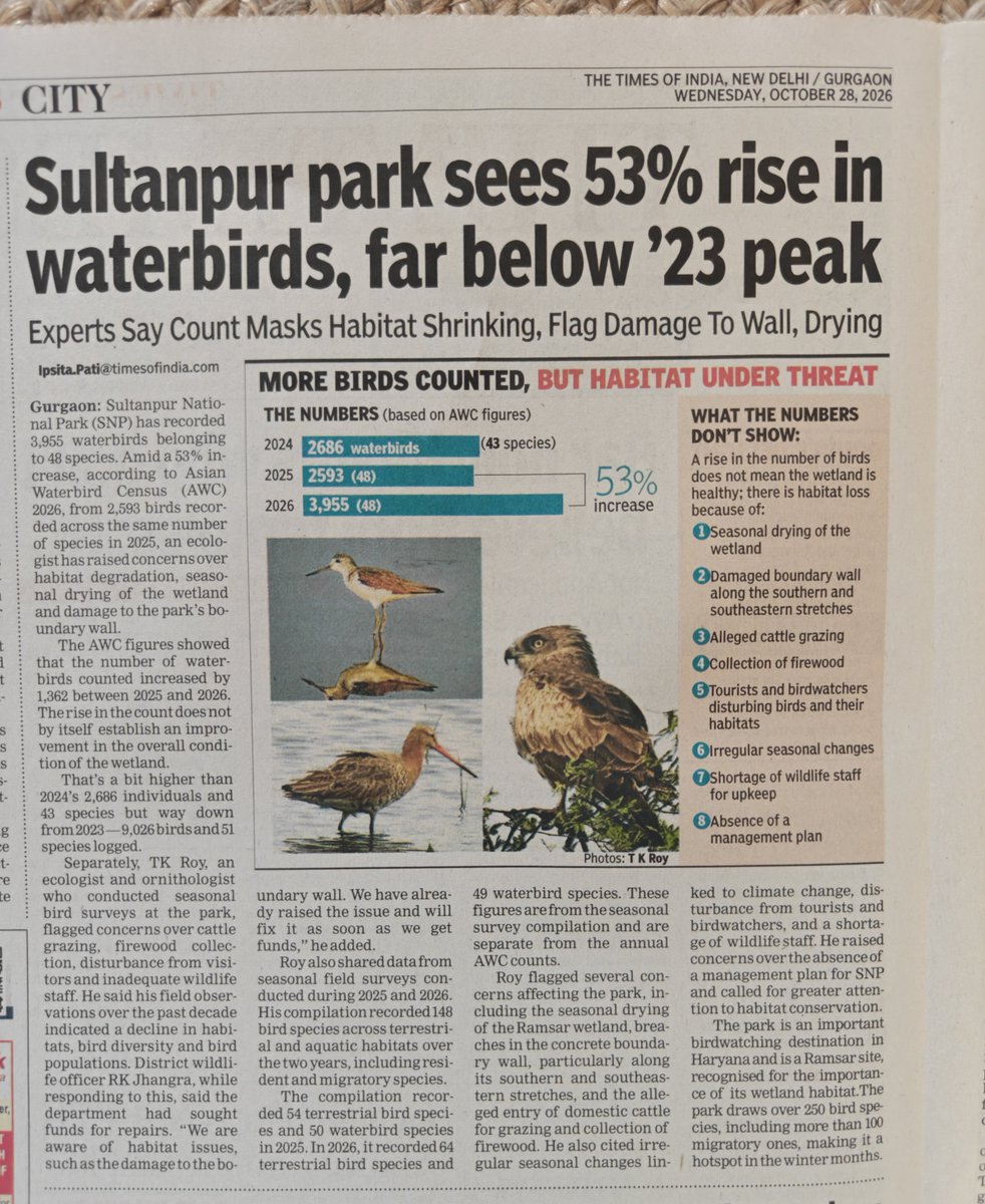 IpsitaTOI's tweet photo. Sultanpur park sees 53% rise in waterbirds, far below 2023 peak @SoIB_India
@birdalliance_in @birdsoftoday

https://t.co/AarByR6iYl https://t.co/DlyS7MWEdT
