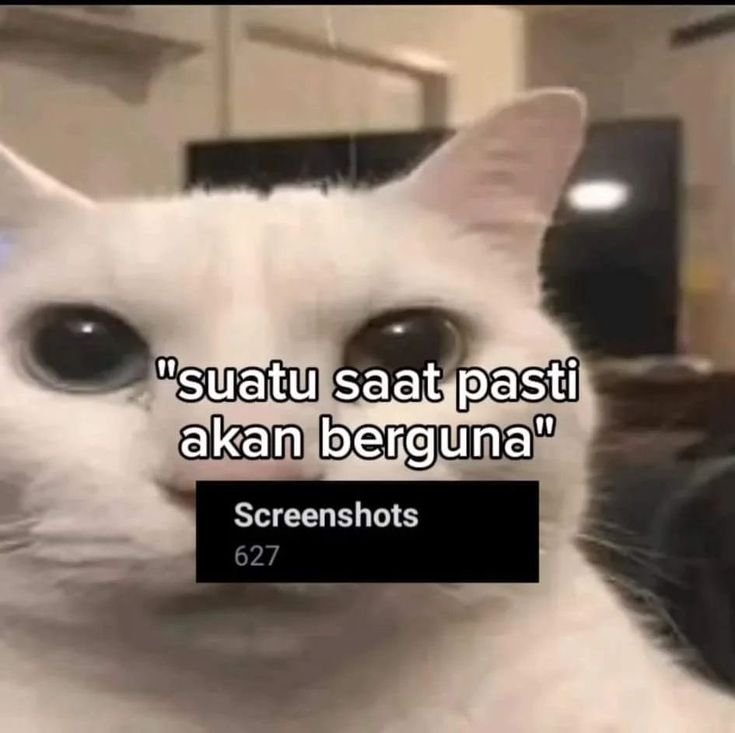 aellyous's tweet photo. sebuah kebohongan https://t.co/kyg3x6zKP4