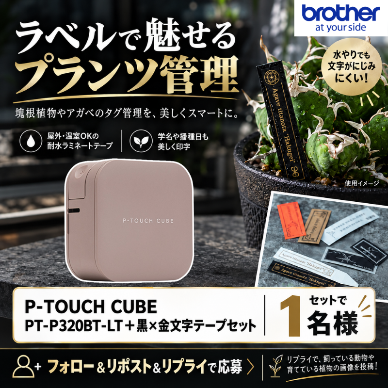 Yodo_Gadget's tweet photo. ／
🌵水やりしても
文字はにじまない！
＼

10/28発売！
学名や播種日も、おしゃれなプランツタグに✨

ブラザー「P-TOUCH CUBE PT-P320BT-LT」＆黒地×金文字テープをセットで1名様に🎁
➡https://t.co/aZ5wu3vlyN

🔁フォロー＆リポスト
📸育てている植物や飼っているペットの写真を✍️

11/3まで‼️ https://t.co/mWEf1zprUN
