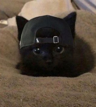 02byjay's tweet photo. #ENHYPEN_JAY 🐈‍⬛ https://t.co/PLHzPdPElT