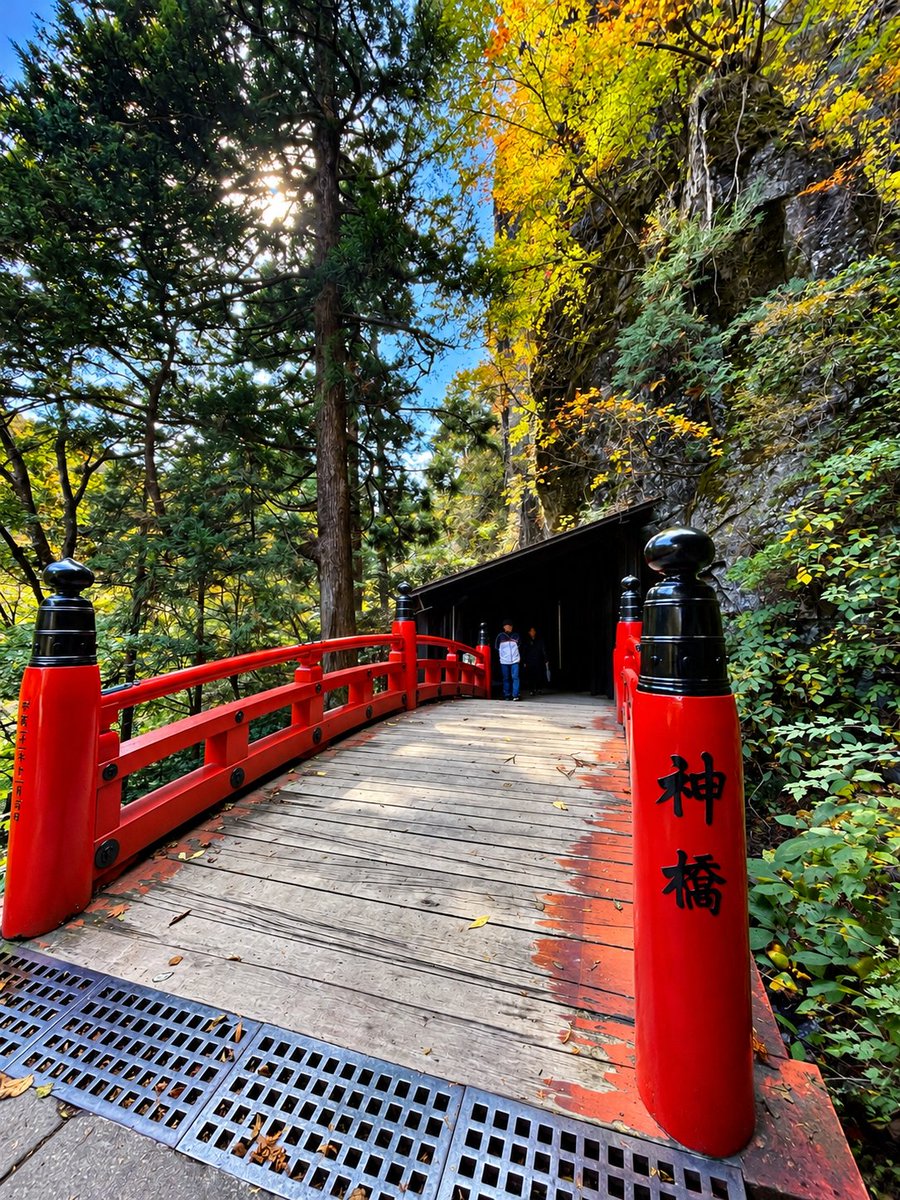 10311031ryu's tweet photo. 本殿の改修工事が終わってから初めてのお詣り

誕生日旅行も当たり前でお詣りは付きものです✨ https://t.co/d75RRvFjNi
