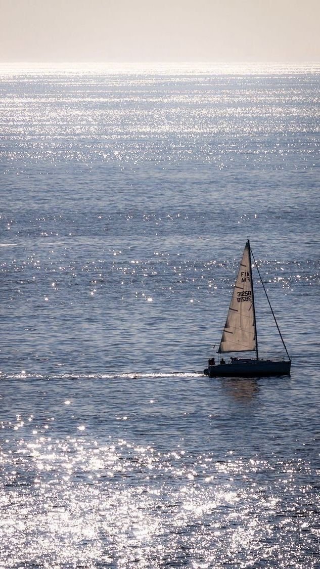cozyycabin's tweet photo. sea sparkles https://t.co/1jJChE6XQs
