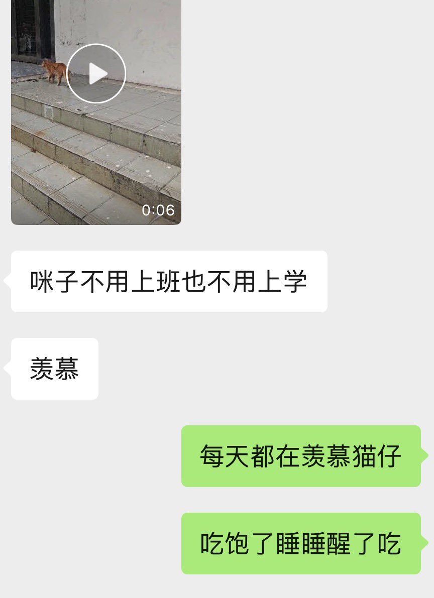CarolinaVolu2's tweet photo. 好幸福吧咪咪 https://t.co/aU2DpsbLuk