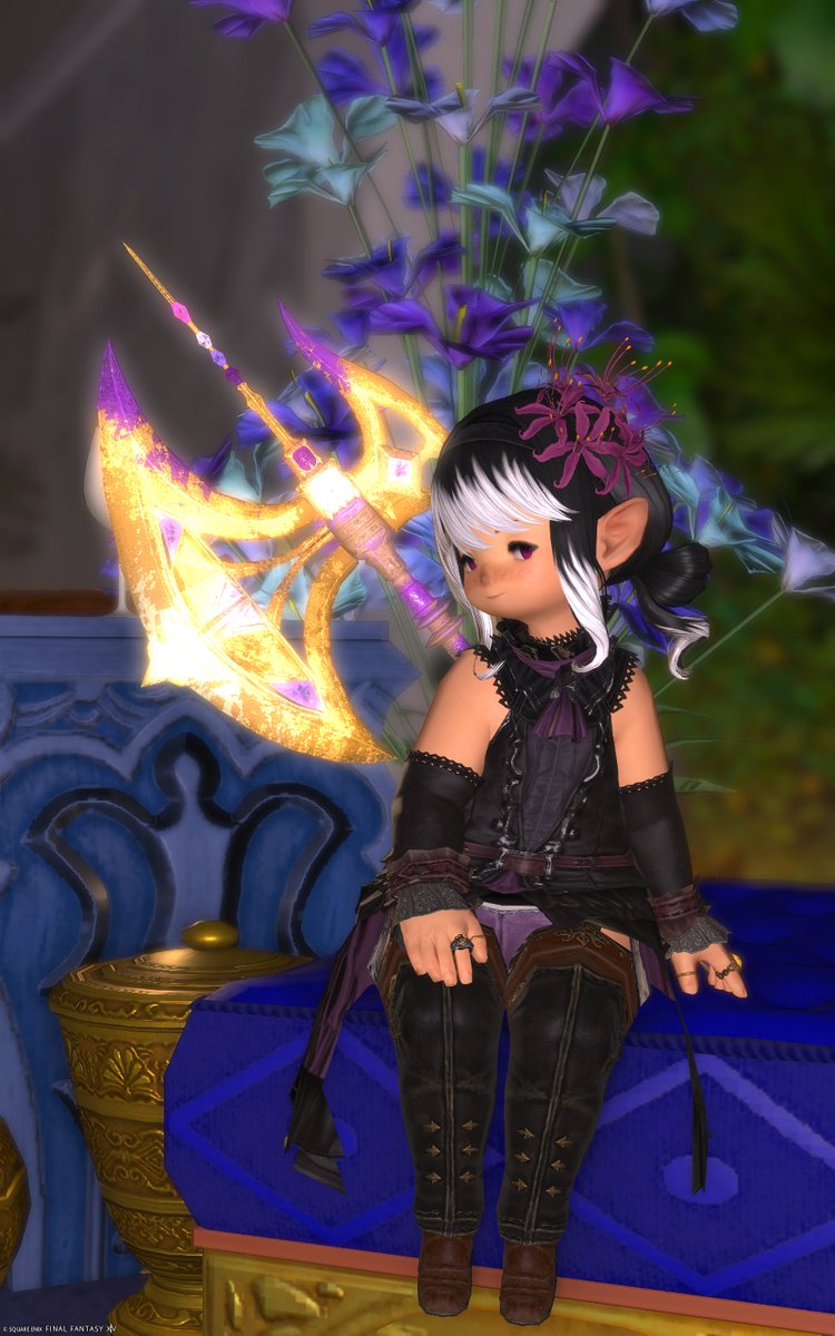 SmallReiva's tweet photo. @Daura_XIV https://t.co/SmEtZUYuh4
