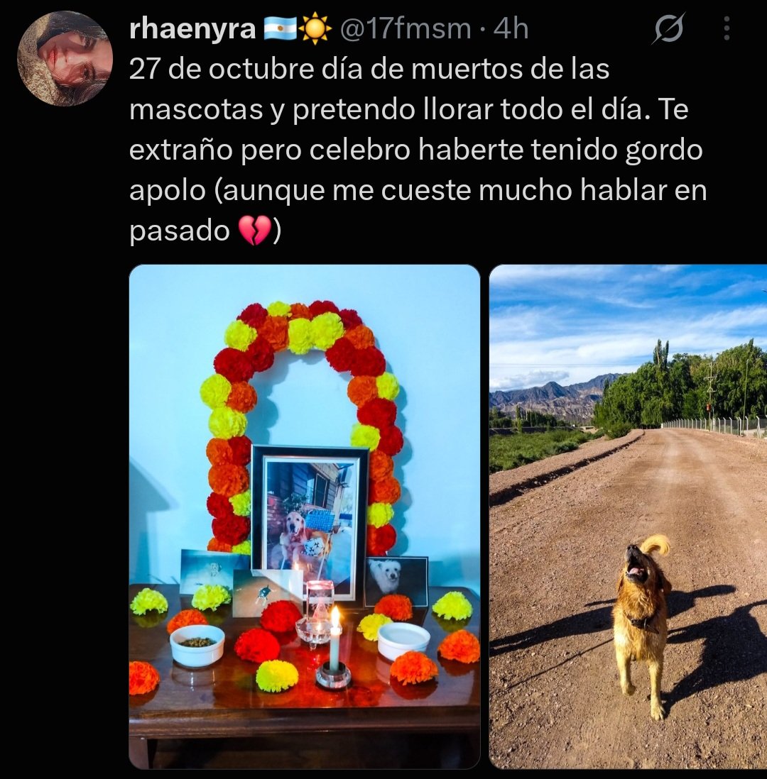 0valeSsj's tweet photo. @BilbaoJime @AlexKyboy @SpotMonkeyss Por ejemplo ella se burla del país y la situación con los narcos y había mas solo q la gente al final borra https://t.co/ozdSb0vT7K