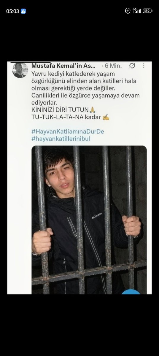 JeglogGogmog's tweet photo. Siz disardayken hic Bir Cocuk, Hayvan Güvende degil. 
#minik
#minikicinadalet
#YavruKediİcinAdalet 
#SokakHayvanlarıSahipsizDeğil 
#Vazgecme https://t.co/N0kK0tczhe