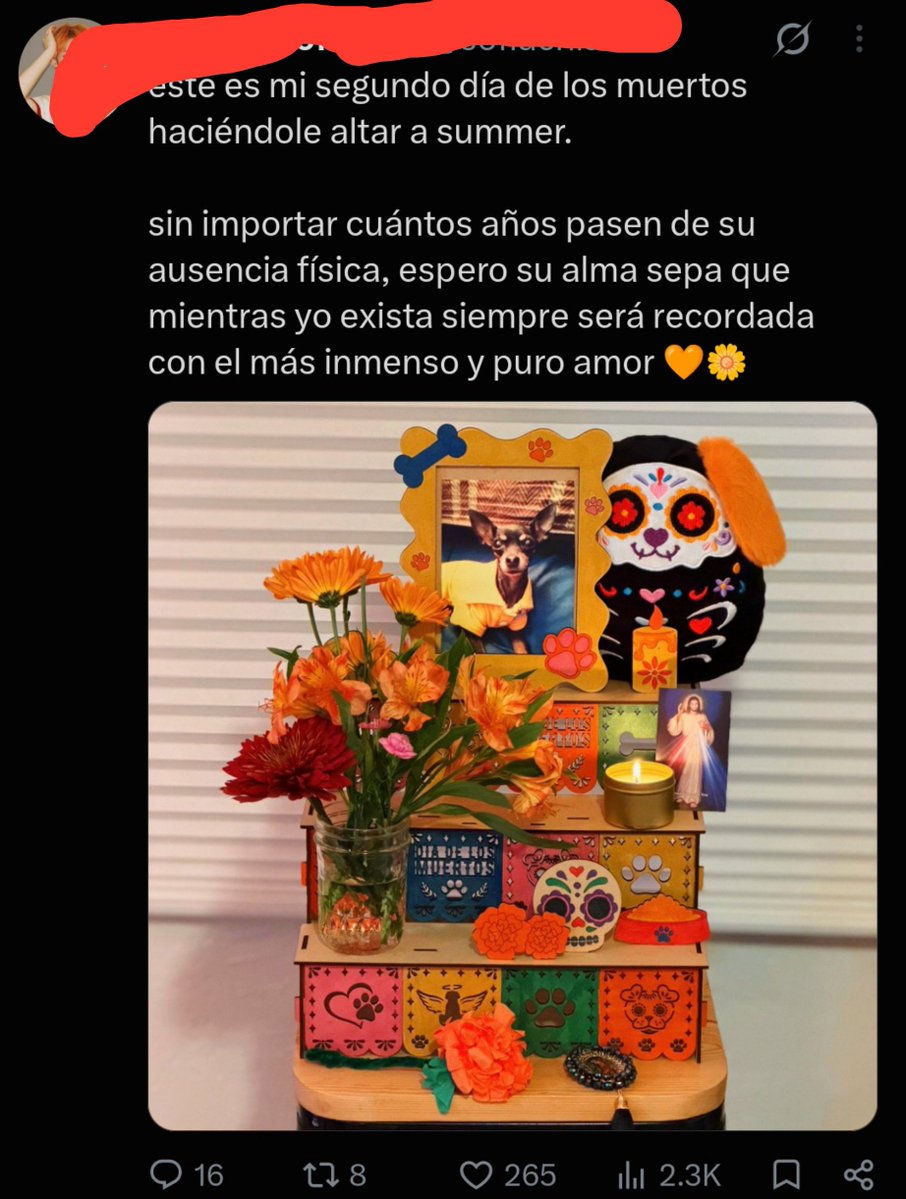 seikabocchi's tweet photo. Pero bueno ya no me voy a emputar solo diré como es curioso que cuando un extranjero le hace una ofrenda a sus mascotas la mayoría de veces lo hace usando la estética mexicana nunca la de Perú, ecuador o otro país Pero bueno el día de muertos no es mexicano y así en fin... https://t.co/rTasxqkLQ2