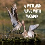 Photo by World Animal Protection India (@MoveTheWorldIN)