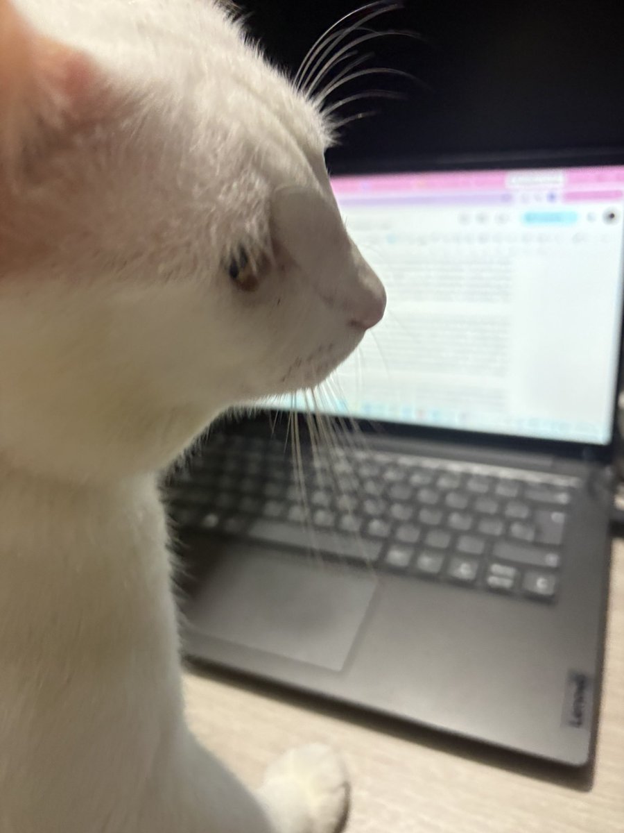 nishimurasite's tweet photo. hay que manifestar https://t.co/FxI79C7v6E