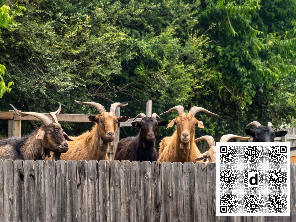 WGNSRadio's tweet photo. Rutherford County's "Goat House" Draws… www.​wgnsradio.​com/article/101801/rutherford-countys-goat-house-draws-complaints-as-residents-question-livestock-restrictions-before-and-after-weekend-fire-erupts #RutherfordCounty #GoatHouse #Livestock #FireErupts #CommunityConcerns https://t.co/vSReWebQ7u