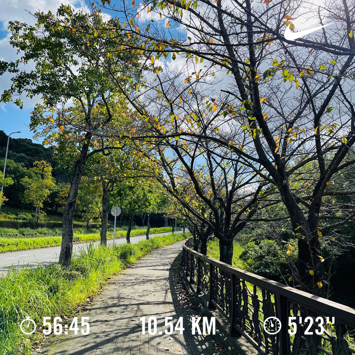 mellow73_blog's tweet photo. 朝ラン♪
カラッとしたお天気
気持ちよく走れました

#朝ラン #ランニング 
#カラッと #お天気 
#10月 #秋 #福岡 https://t.co/pVrOiDI1cM