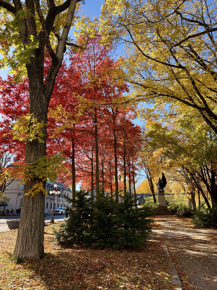 time_devb's tweet photo. Montreal🍁🍂! https://t.co/X7RVvNr1RF