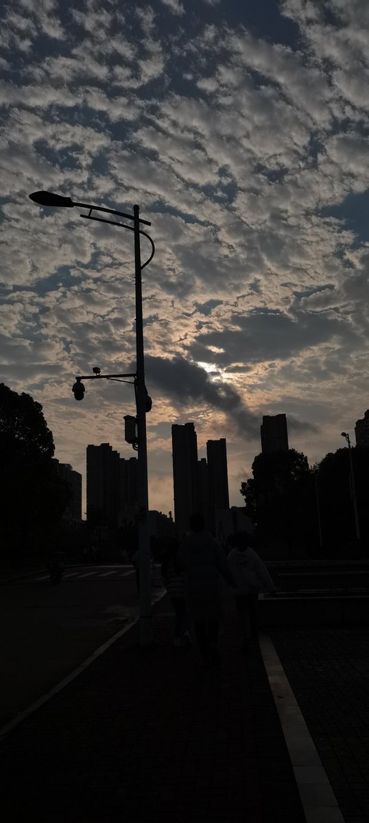 nagi223fuku's tweet photo. 劣苟運伊疾の影が差す今日、そっと息を潜めて https://t.co/JYZswPXtlK