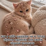 Photo by психокоты (@psycho__cats)