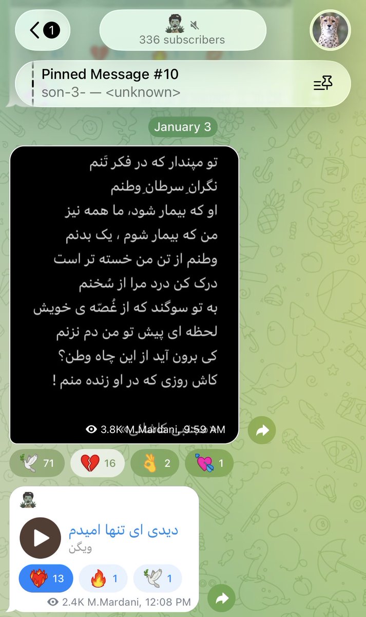VahidleBrasseur's tweet photo. @MahsaMgarsadafi ایران عزیز چه فرزندان شریفی رو از دست داد 😭

قهرمان سرافراز وطن، جاویدنام #ماهان_مردانی 🖤 https://t.co/JFgqlbanIi