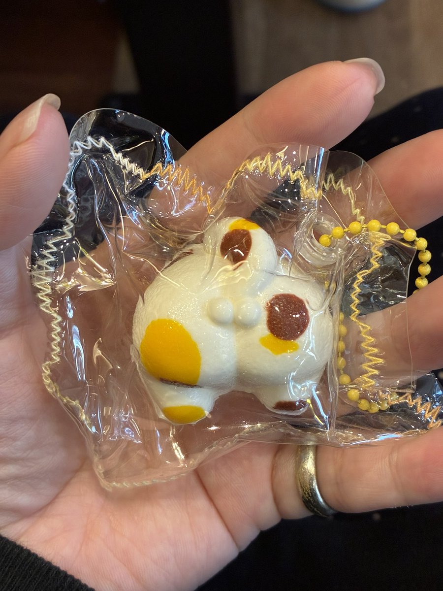 aksks_h's tweet photo. マジでいらないけどほしいと言い続けて100年が経った、スクイーズというやつをとうとう手に入れました
可愛すぎ、お出かけ中すきあらば握ってた
気に入りすぎ https://t.co/s6APOtyGL6
