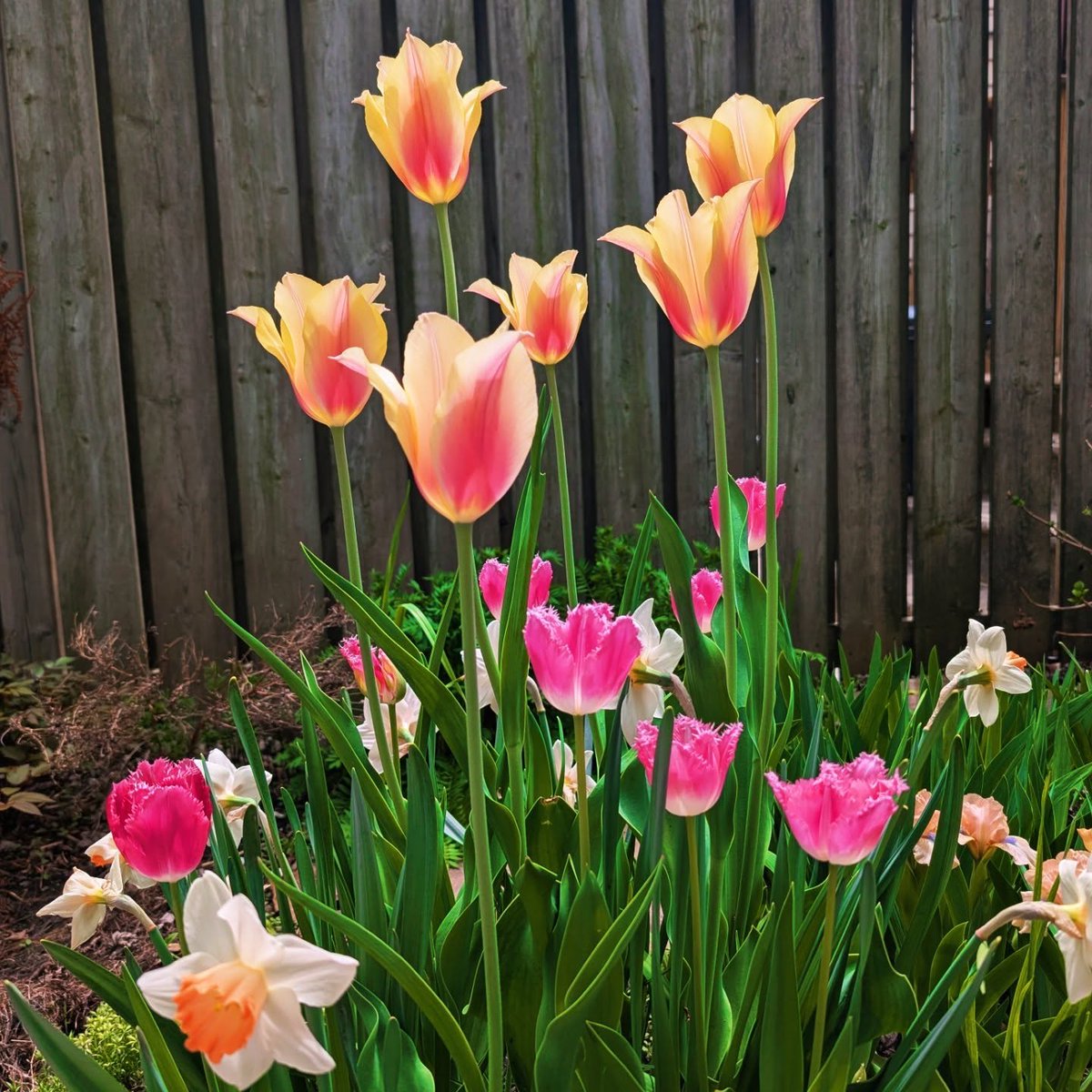 eborahD862630's tweet photo. Backyard beginnings, endless possibilities. https://t.co/j9GC971t5e