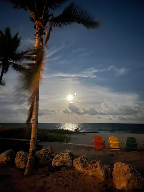 GulfAtlanticInd's tweet photo. Good Night #Florida ...

#HurricaneSeason2026 ...  Are You READY!!!

It's TIME ... GET #Hurricane & #Tornado READY...

Call 800 679 0369 #BBB  >  New #Roofs Hurricane Impact #Windows #Doors #StormShutters #ScreenPoolEnclosures Super High Efficiency Central A/C, #BlueRoofs

https://t.co/QfjnQ8dcte