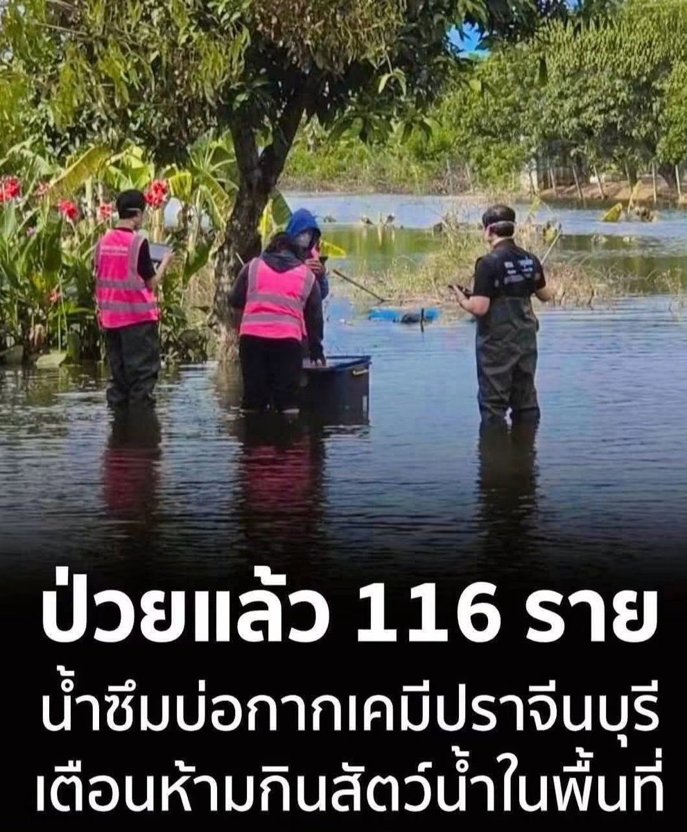 ganblade's tweet photo. ในน้ำมีปลา (ตาย) 

ในนามีข้าว (ผสมสารพิษ) ☠️ https://t.co/bn4CB0ukWu