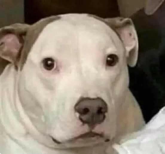 Yael0w0's tweet photo. @mxdmaxy Cultura dice wtf https://t.co/QkqrS4YCAv