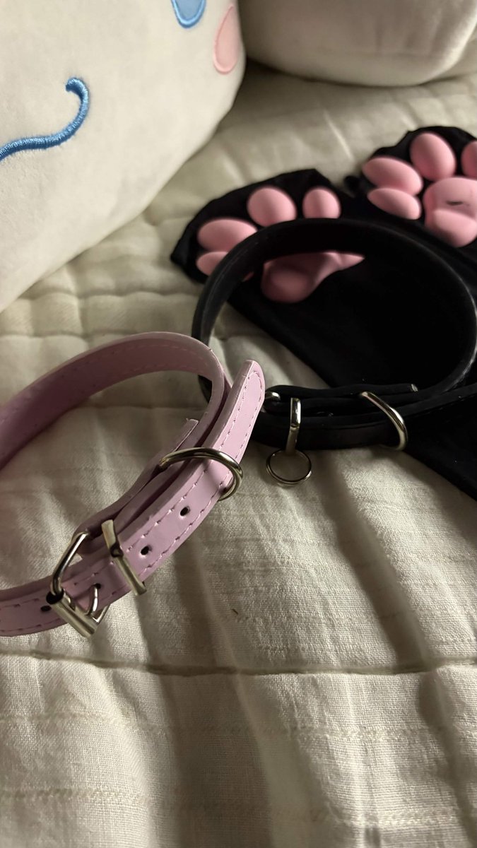 buncatss's tweet photo. which loser is gonna be my pet? :3 #findom https://t.co/G7SqZO0omD