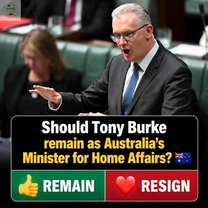The PROBLEM Starts Here & IT is NOT BUNNINGS!! on X: 