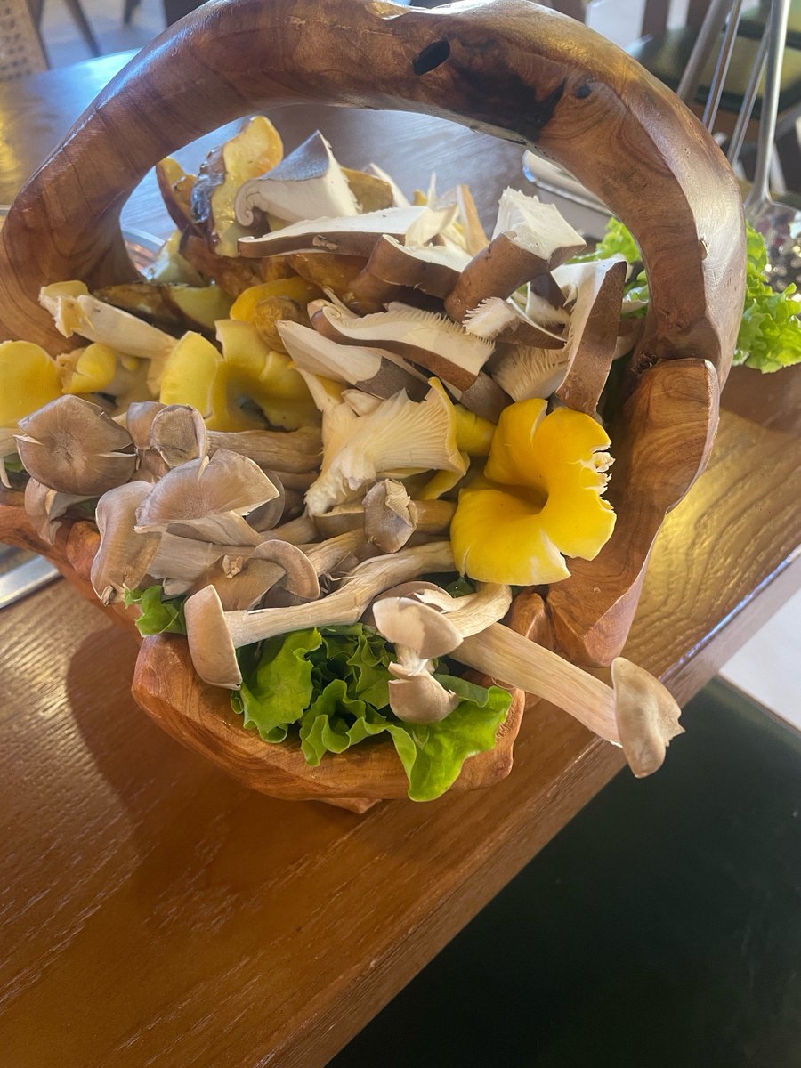 aizomly's tweet photo. 【日本語の短文】：栄えた右側で茸を酌む、季節の味を楽しむ瞬間。 https://t.co/8iWyDLuV5n
