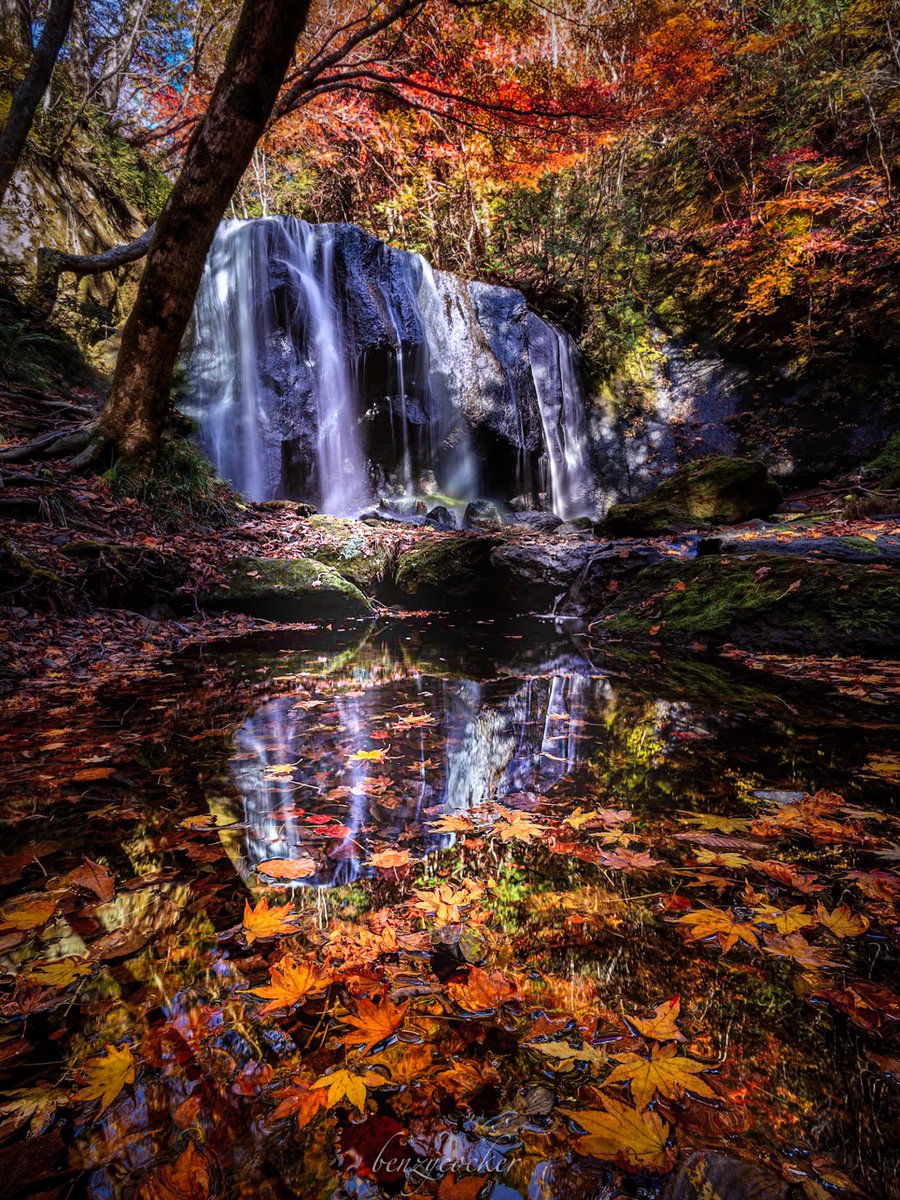 benzycocker's tweet photo. 福島の秋を映す、絶景滝。 https://t.co/dCmK43rOc9