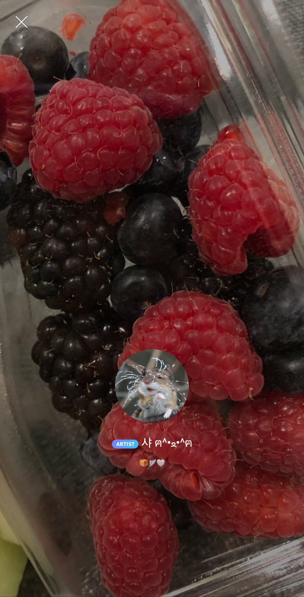 godmitzu's tweet photo. SANA changed her Bubble profile pic to a mouse with frozen whiskers https://t.co/xS28LWyWD9