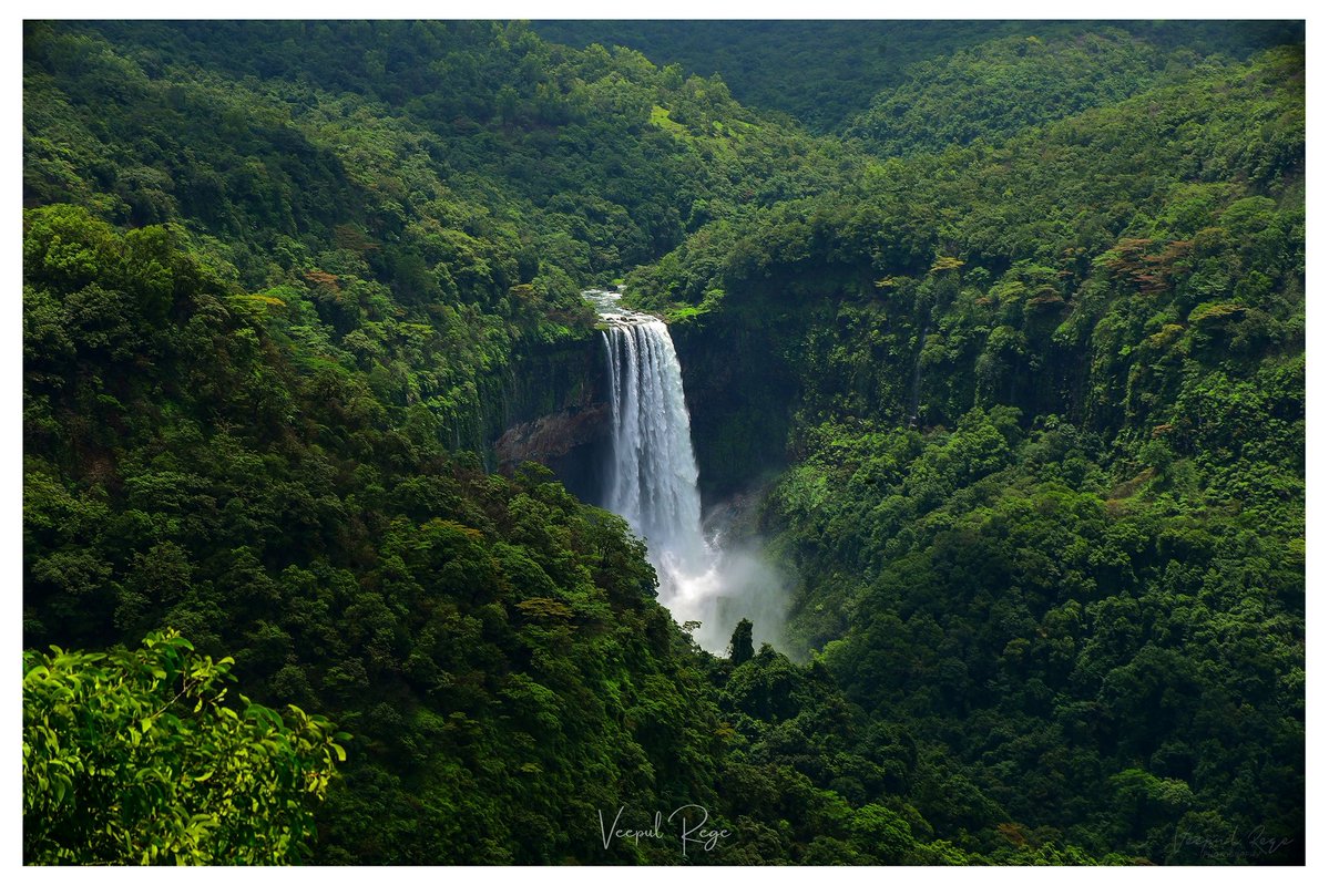 0xVeepul's tweet photo. share your photos and help spread the beauty. https://t.co/EldwOQbugJ