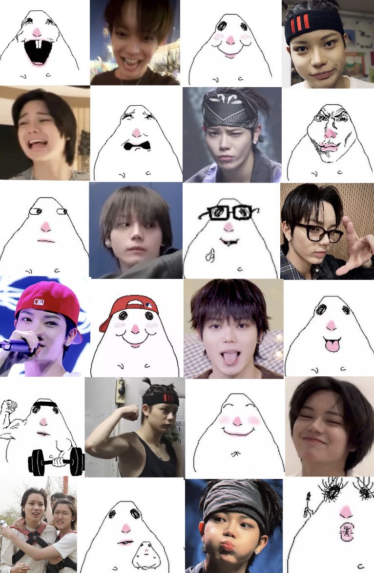 pochaccohyul's tweet photo. Ohyul sometimes reminds me of this weird hamster https://t.co/lyBV92nKwB